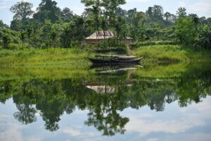 Ibukota Negara Nusantara: Pusat Pemerintahan Baru di Kalimantan