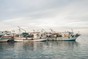 Ibukota Nusantara: Pusat Baru di Provinsi Kalimantan Timur