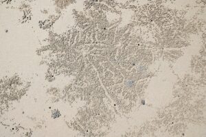 Peta Ibu Kota Baru IKN: Transformasi Menuju Masa Depan Indonesia